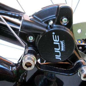 Scheibenbrems-Option Schwinge