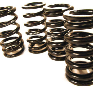 Feder f�r Federelement